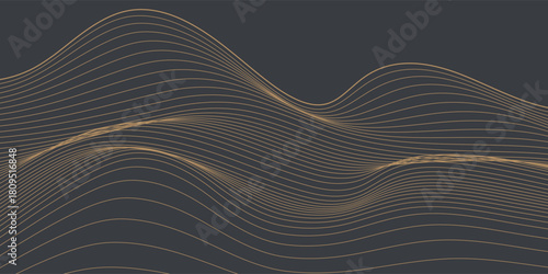 Vector abstract art landscape mountain with birds and sunrise with gold line art texture isolated on dark gray black background. eps10