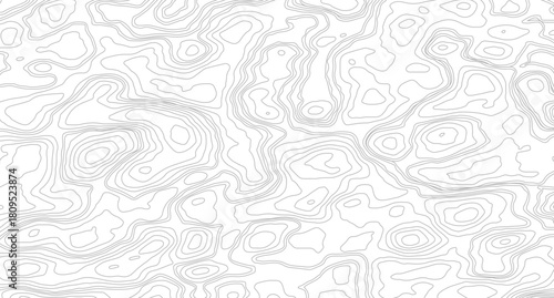 Topographic Map Seamless Pattern. Topography map background. Vector geographic contour map.