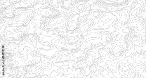 The stylized height of the topographic map contour in lines and contours isolated background. Vintage outdoors style. Black and white lines seamless Topographic map patterns, topography line map.