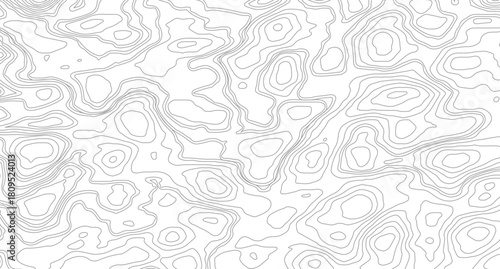 Abstract Topographic Map Lines. Monochrome Terrain Lines Art. Wavy Geographical Contour Lines