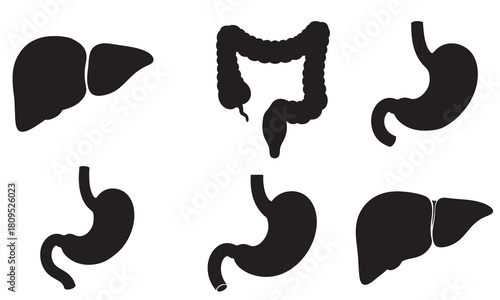Collection of black silhouette icons representing human digestive system organs silhouette