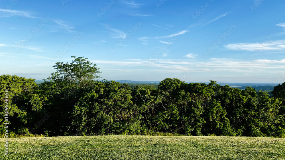 Naklejka premium Forest Hillside Landscape Under a Clear Blue Sky in Southern Illinois USA