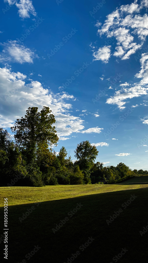 Fototapeta premium Sunny park landscape in Southern Illinois with blue sky trees and an open grassy field
