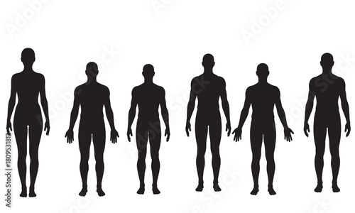 Collection of diverse human body silhouettes standing in a row representing different forms and sizes silhouette