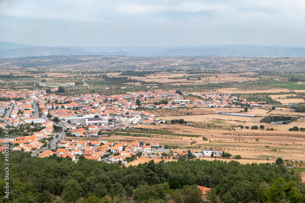 Obraz premium Vista panorâmica de Figueira de Castelo Rodrigo, enquadrada por um pinhal em primeiro plano e extensos campos agrícolas da Beira Alta em Portugal