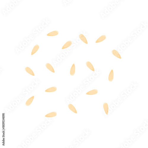 Sesame Seeds Illustration