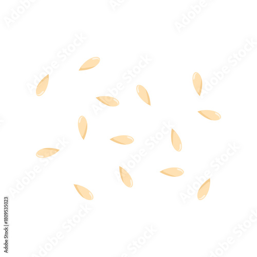 Sesame Seeds Illustration
