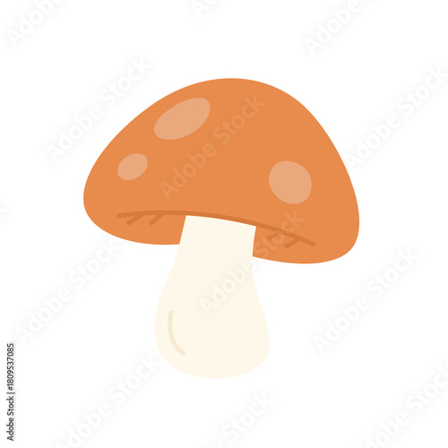 mushroom illustration. Great for gardening, cooking, and environmental design elements