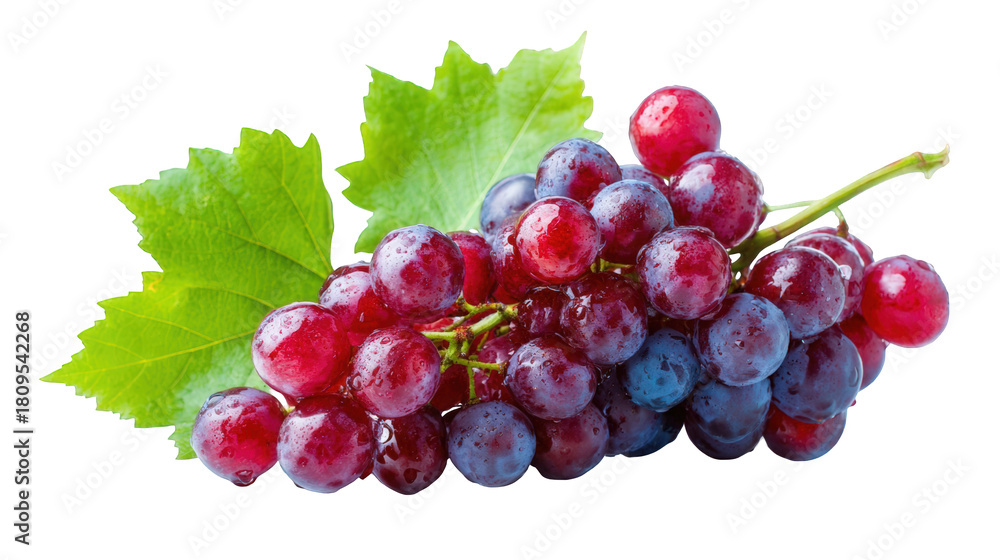 Fototapeta premium Red and blue grapes with green leaves