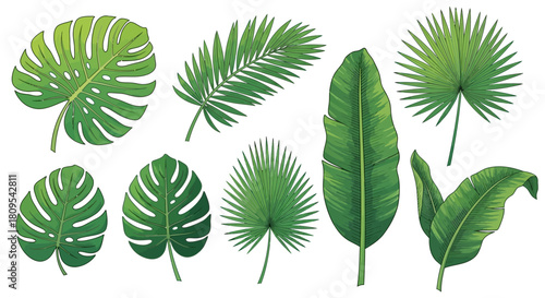 Camping gear icons: tent, fire, backpack, sleeping bag, compass, map, thermos, flashlight, axe, chair, table, stove.