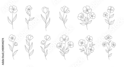 Camping gear icons: tent, fire, backpack, sleeping bag, compass, map, thermos, flashlight, axe, chair, table, stove.