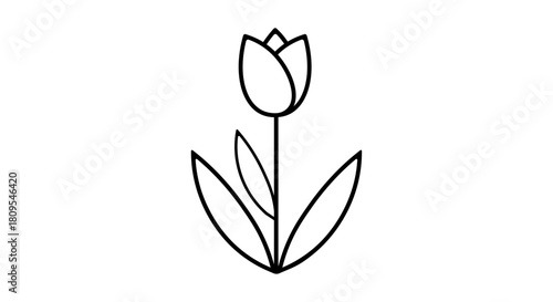 Simple Line Art Tulip Flower - Elegant Minimalist Floral Design Vector