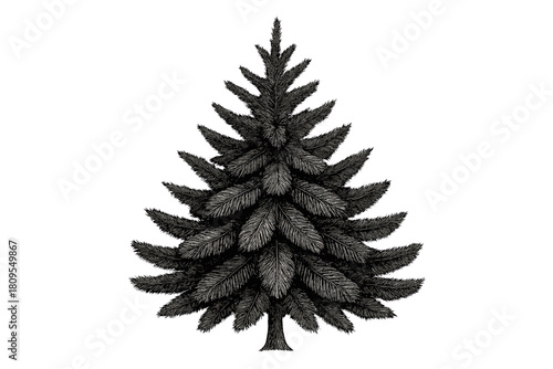 Monochrome Christmas Tree. Christmas tree composed of layered, needle-like branches that extend outward in a symmetrical fashion. The focus is on the natural beauty. Vector illustration