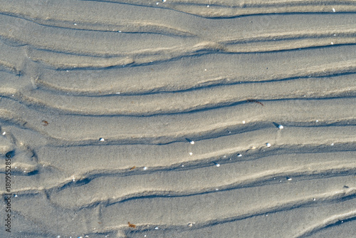 Fototapeta Naklejka Na Ścianę i Meble -  Natural Baltic Sea beach with wooden structures smooth sand and shallow water in a serene coastal scene