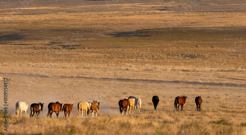 Wallpaper Mural Herd of Wild Horses Running Across the Utah Desert in Autumn Torontodigital.ca