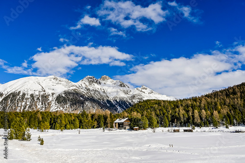 St. Moritz, Stazersee, Stazerwald, Winter, Winterwanderweg, Eis, Alp Languard, Wintersport, Winterlandschaft, Oberengadin, Alpen, Pontresina, Graubünden, Schweiz

