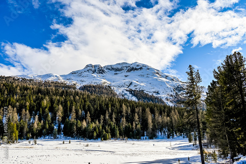 St. Moritz, Stazersee, Stazerwald, Bergsee, Langlauf,  Langlaufloipe, Winter, Wintersport, Rosatschgruppe, Alpen, Oberengadin, Graubünden, Schweiz