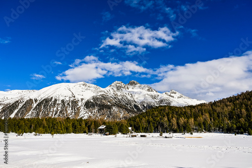 St. Moritz, Stazersee, Stazerwald, Alp Vanguard, Piz Languard, Winter, Winterwanderweg, Wintersport, Oberengadin, Alpen, Graubünden, Schweiz
