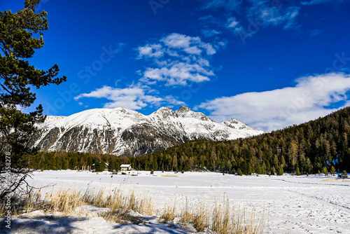  Stazersee, Stazerwald, Langlauf, Langlaufloipe, Winter, Winterwanderweg, Wintersport, St. Moritz, Oberengadin, Alpen, Graubünden, Schweiz