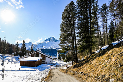 St. Moritz, Stazerwald, Waldweg, Winter, Winterwanderung, Wintersport, Winterlandschaft, Alpen, Oberengadin, Graubünden, Schweiz