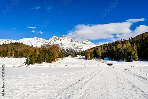 St. Moritz, St. Moritzersee, Bergsee, Eisfläche, Wanderweg, Stazerwald, Stazersee, Alpen, Alp Languard, Piz Languard, Oberengadin, Graubünden, Winter, Wintersport, Wintertag, Schweiz