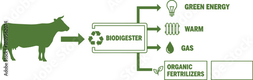 Biogas and Biodigester Process Diagram Showing Cow Manure Converting to Green Energy, Warmth, Gas, and Organic Fertilizers for Sustainable Agriculture and Renewable Power.