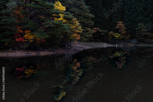 autumn leaves