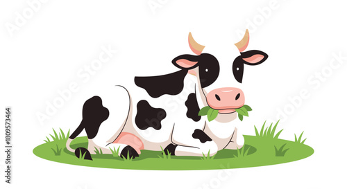 Contented black and white Holstein cow with horns lies peacefully in a patch of green grass while chewing on leaves.