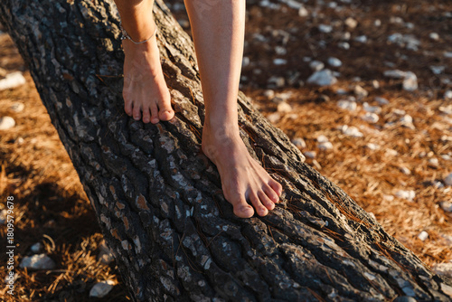 Barefoot in nature. Bare feet stepping on trunk of pine. Close-up of feet of woman in forest balancing on log. Grounding, balance, natural energy, and deep physical connection to environment.