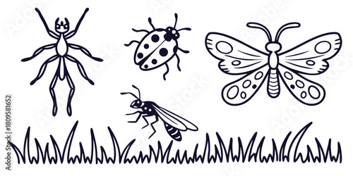 A collection of illustrative insects, including an ant, ladybug, wasp, and butterfly, above grass.