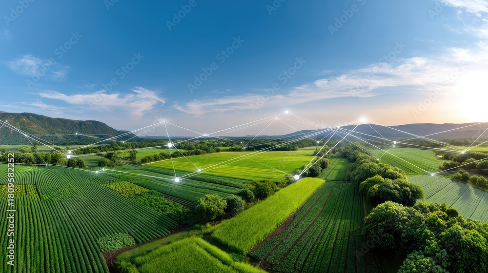Fototapeta premium Expansive Agriculture Landscape with Networking Technology Concept Representing Connectivity and Innovation in Modern Farming Practices