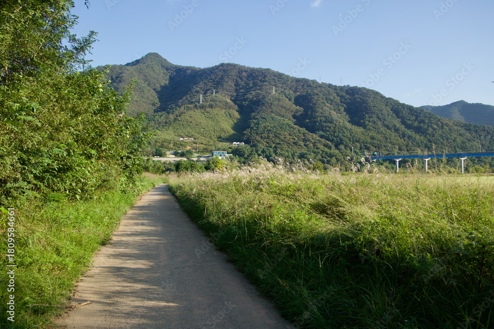 Fototapeta premium Dirt Path through River Meadow