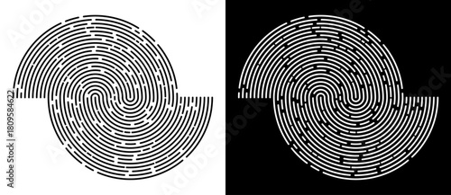 Vector spiral like fingerprint texture. A black figure on a white background and an equally white figure on the black side.