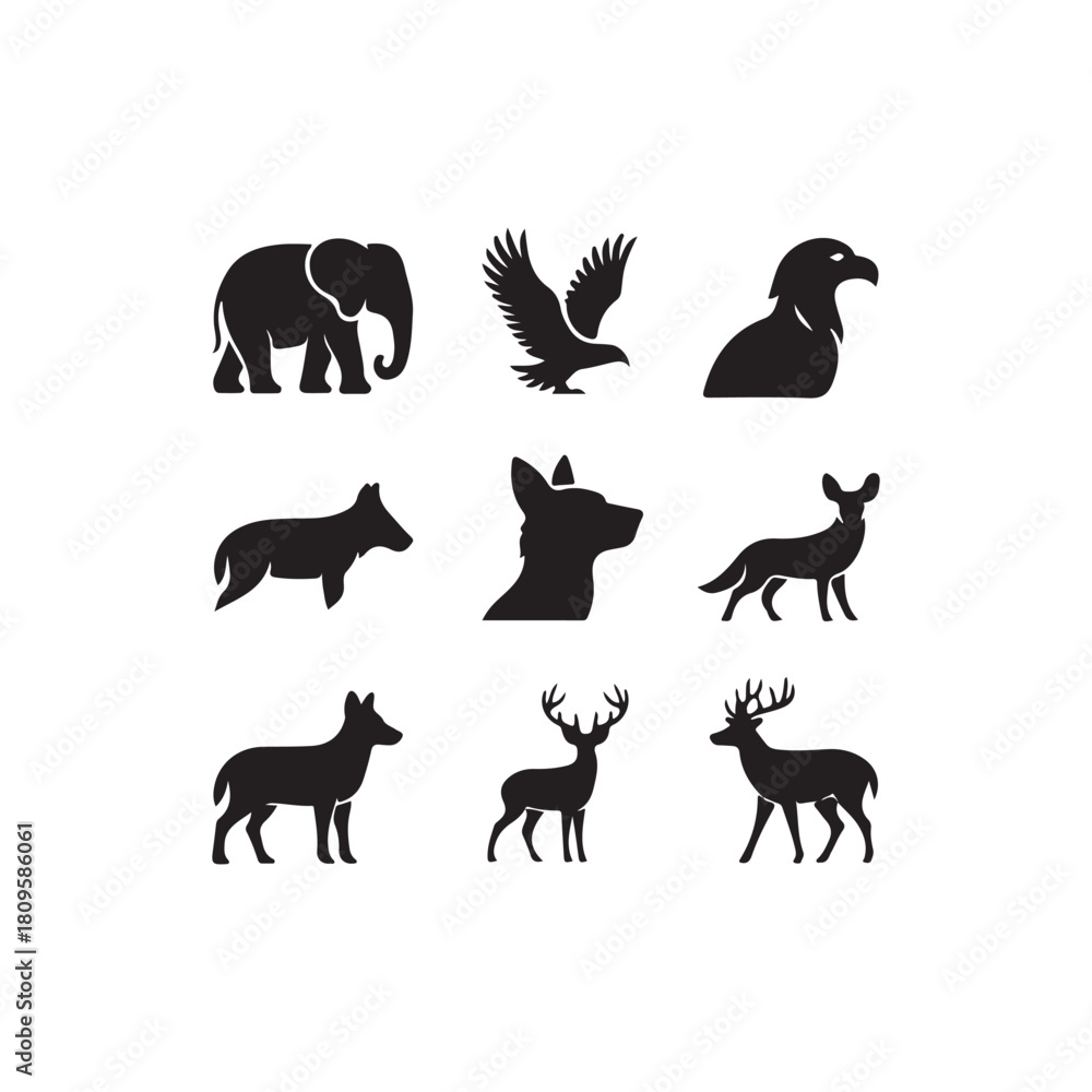 Fototapeta premium black silhouettes of animals.vector eps 10