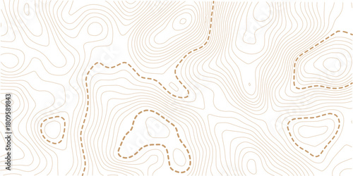 Topographic map lines background. Abstract vector illustration. Golden color Line