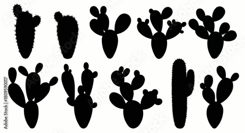Collection of various cactus silhouettes, desert plant shapes.