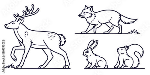 A deer, fox, rabbit, and squirrel are illustrated in black and white outlines.