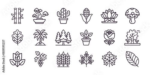 Collection of nature and plant icons: bamboo, bonsai, cactus, corn, lotus, mushroom, leaf, palm, tree, rose