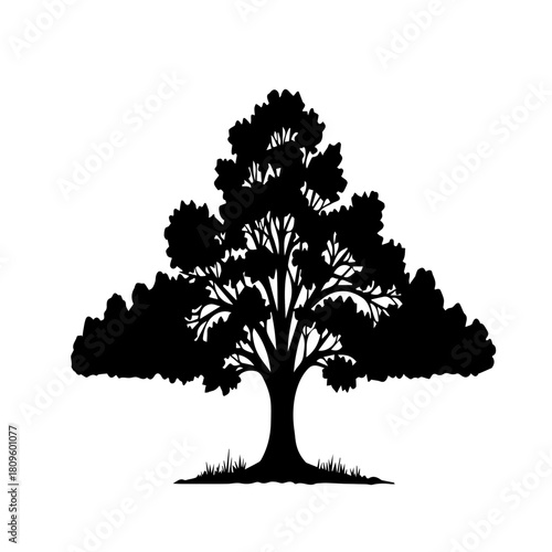 Silhouette of a large deciduous tree with lush foliage and a sturdy trunk set against a white background symbolizing nature and growth.