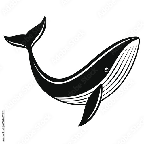 Black and white whale illustration on a white background graphic resource
