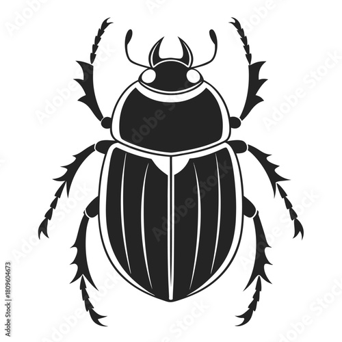 Elegant Scarab Beetle Illustration in Black and White for Art Projects