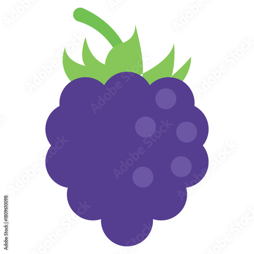 Blackberry Fruit Icon Template – Fresh Fruit Minimal Flat Vector Design