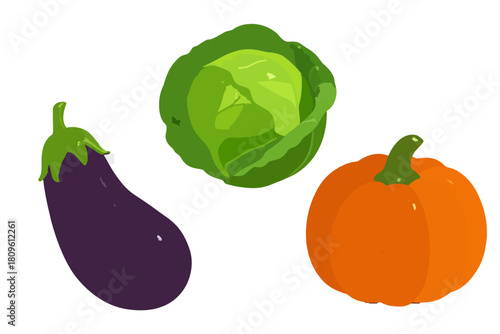 High quality realistic style illustration of fresh vegetables including eggplant, cabbage and pumpkin, isolated on transparent background.	