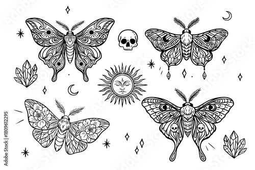 Mystical moth line art with occult and esoteric symbols