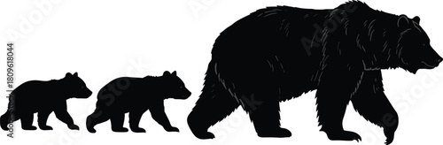 Bear family walking silhouette vector, mother grizzly with two cubs, wild animal illustration isolated on white background, nature wildlife parent and child concept.