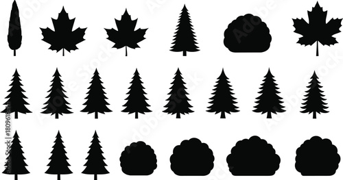 Christmas tree and maple leaf silhouette set, pine fir bush icons collection, forest nature illustration isolated on white background, garden plant symbols.