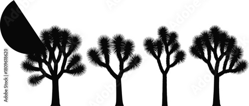 Joshua tree silhouette vector set, desert yucca palm collection, black nature illustration isolated on white background, arid landscape wilderness plant icons design.