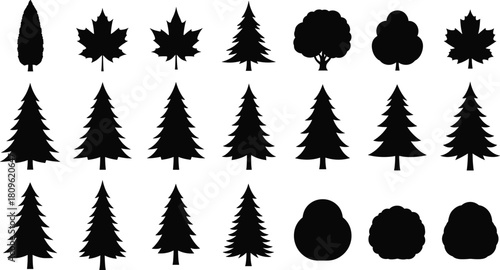 Pine tree and maple leaf silhouette set, christmas fir icons collection, forest nature illustration isolated on white background, garden bush plant symbols.