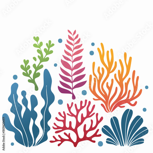 Vector set of colored corals and seaweeds silhouettes. Underwater coral reef and sea kelp in hand drawn doodle style. Marine aquarium plants illustration.