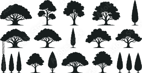 Tree silhouette vector set, black forest nature collection, oak cypress poplar illustration isolated on white background, garden plant icons, landscape design elements.